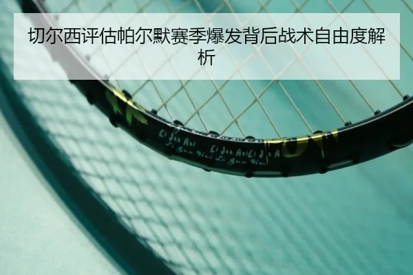 切尔西评估帕尔默赛季爆发背后战术自由度解析