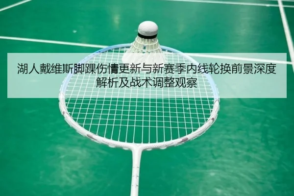 湖人戴维斯脚踝伤情更新与新赛季内线轮换前景深度解析及战术调整观察