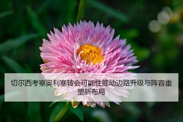 切尔西考察奥利塞转会可能性推动边路升级与阵容重塑新布局