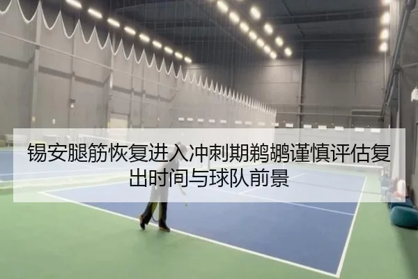 锡安腿筋恢复进入冲刺期鹈鹕谨慎评估复出时间与球队前景